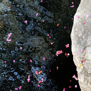 中国女人艳情快播
