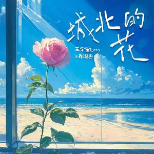 中国女人艳情快播
