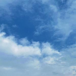 中国女人艳情快播
