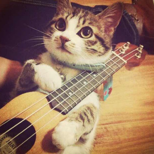 中国女人艳情快播
